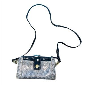 Silver Shimmer Crossbody Purse